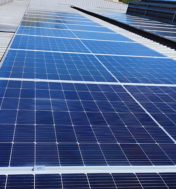 Design sem nome (28)